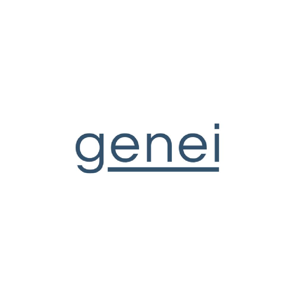 Genei – AI-Powered Research & Summarization Tool