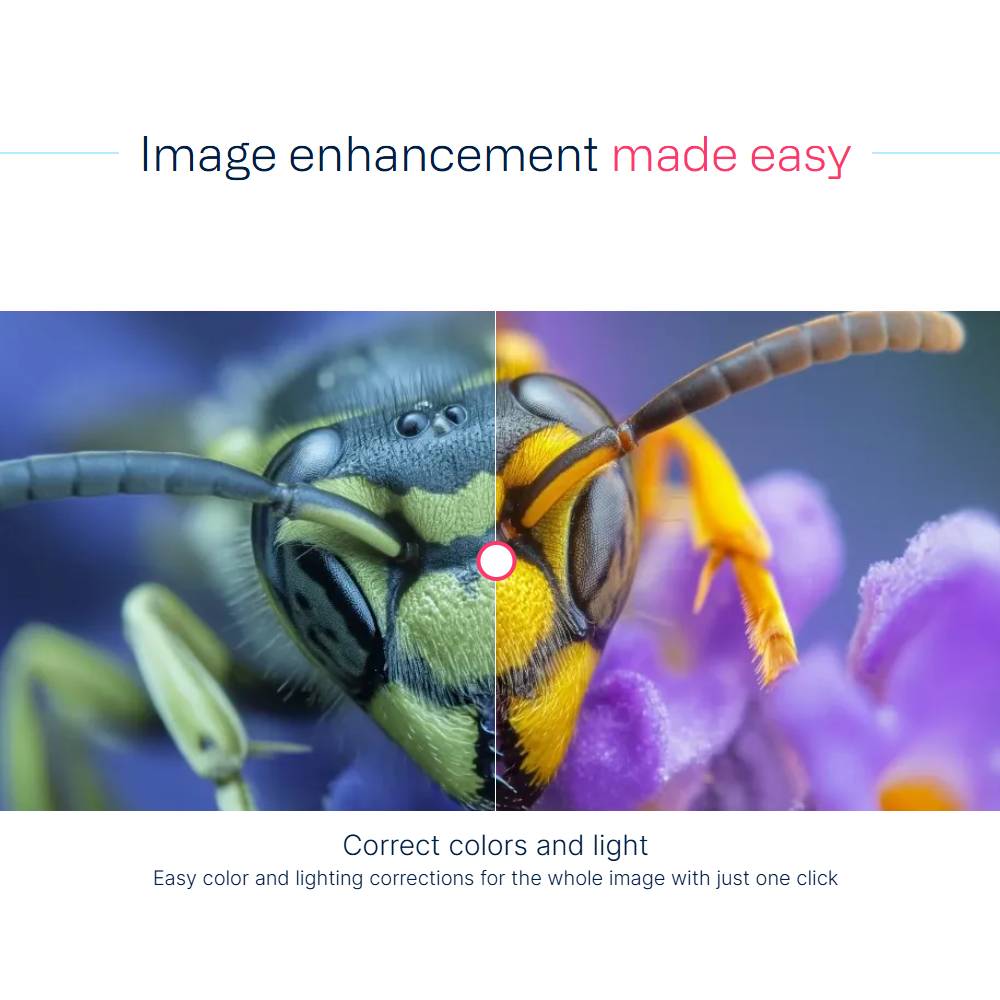 Deep-Image.ai – AI Image Upscaling & Enhancement Platform