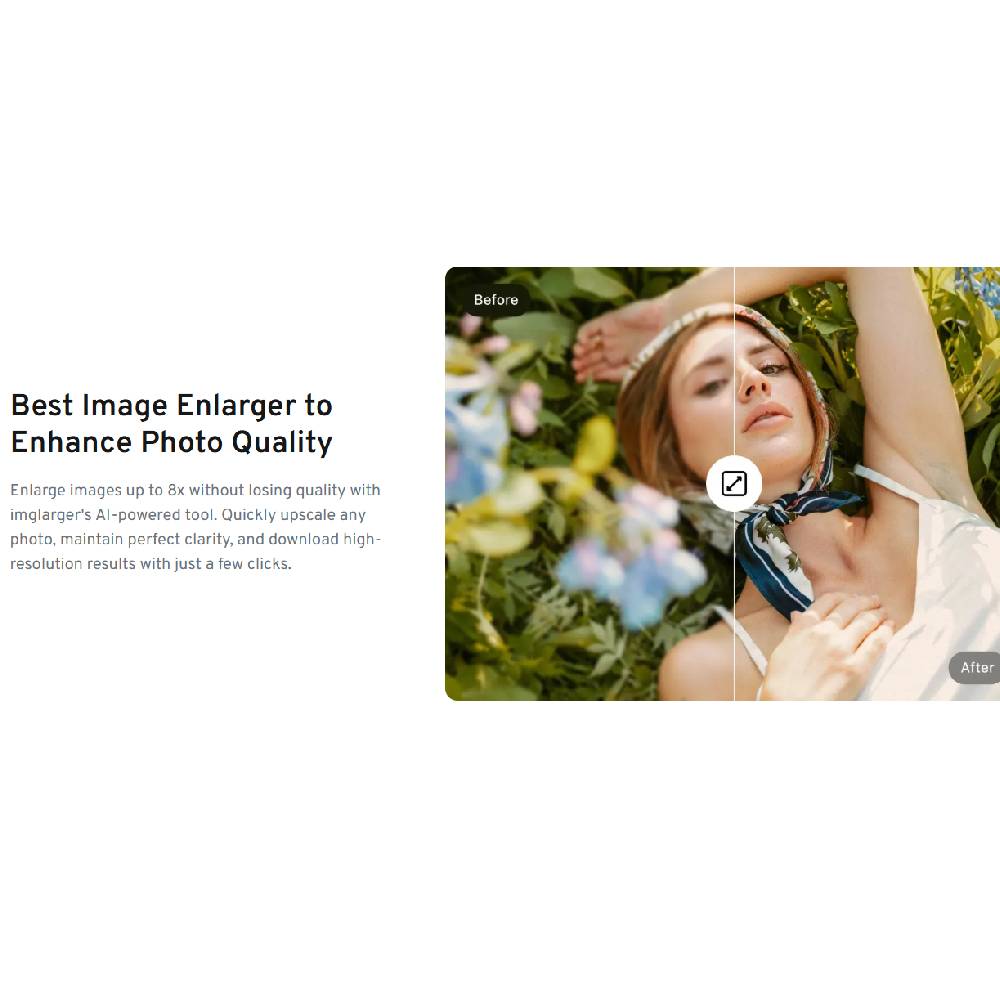 Imglarger – AI Image Upscaling & Restoration Tool