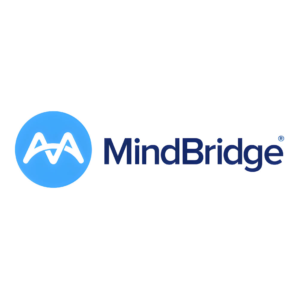 MindBridge – AI-Powered Financial Risk and Audit Platform