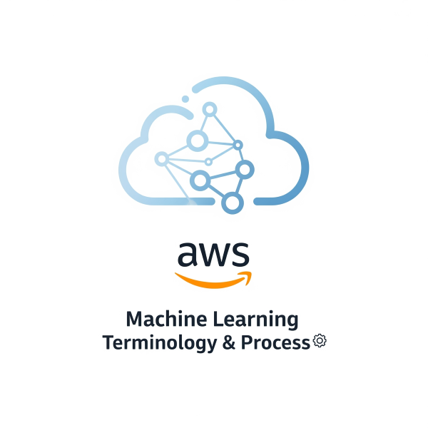 Machine Learning Terminology and Process