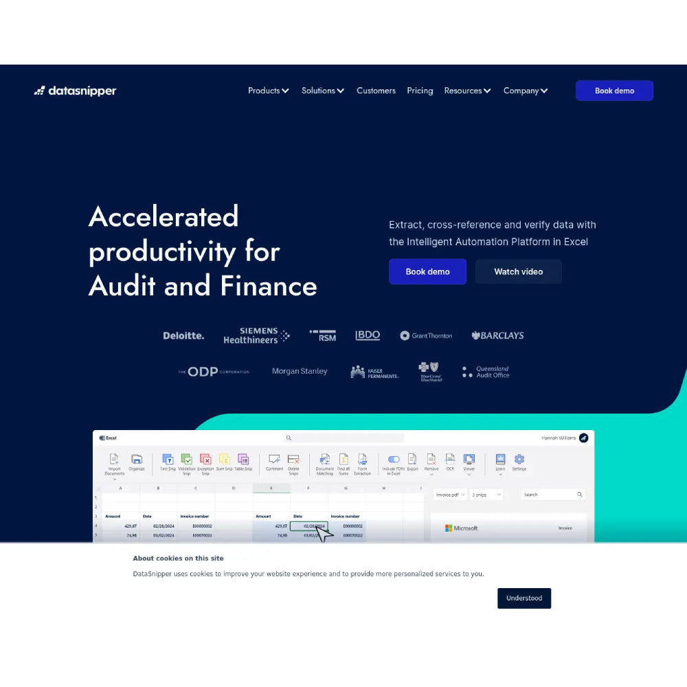 DataSnipper — AI Audit and Document Automation Platform