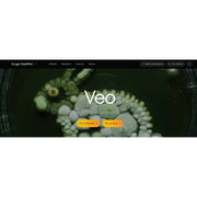 Veo – Google’s AI Video Generation for Cinematic Content