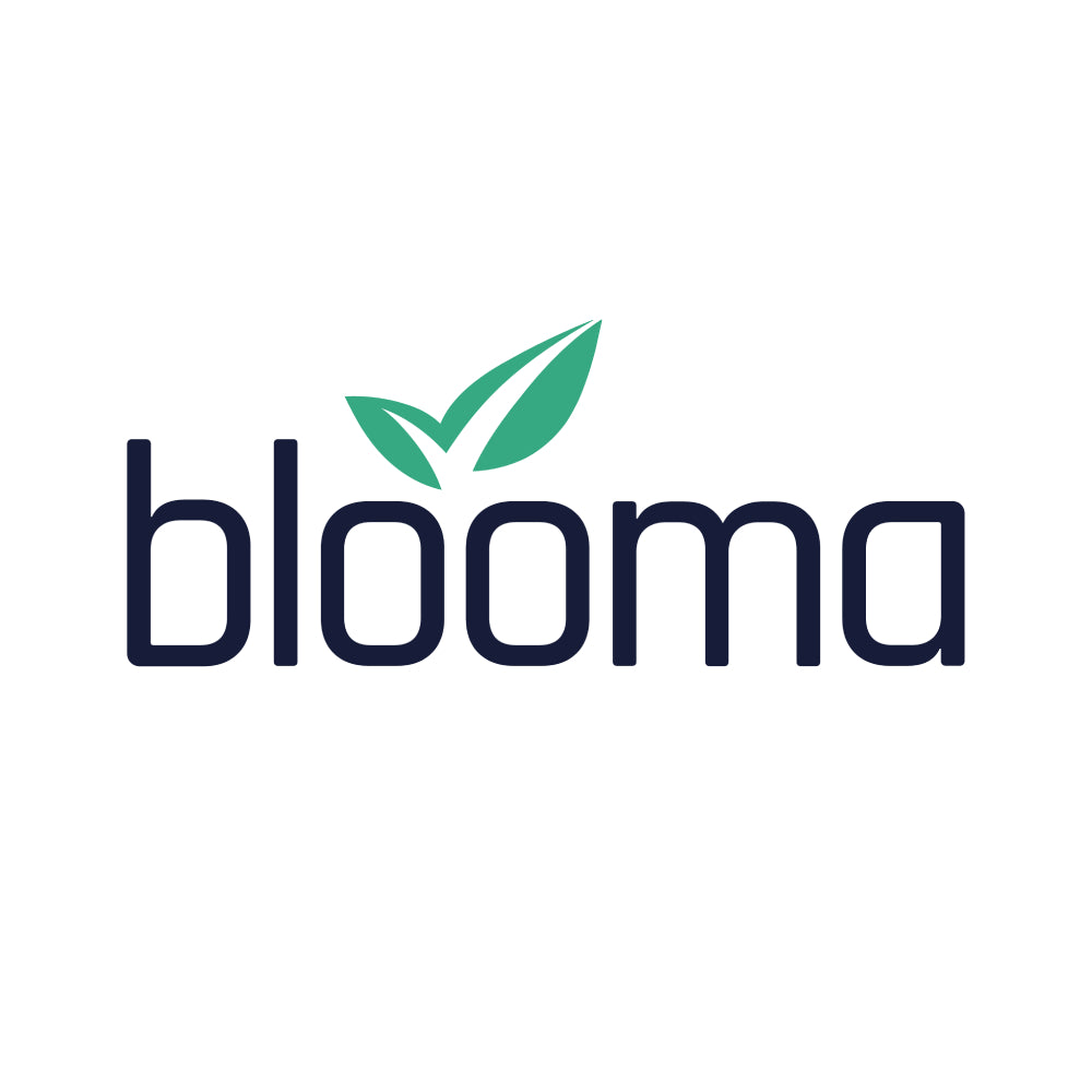 Blooma – AI-Powered CRE Lending Platform